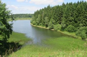 2017_07_08 Zellerfeld (Harz): Teiche der Wasserkunst