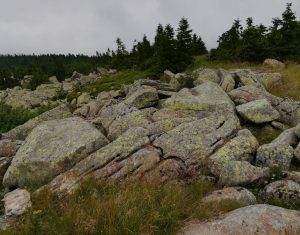 2017_07_09 Harz, Brocken, Teufelskanzel: Granit mit Wollsackverwitterung