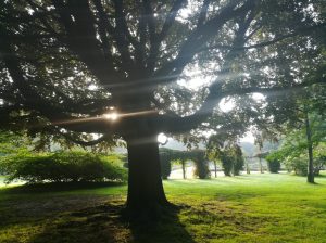 2017_09_02 Hamburg-Stadtpark