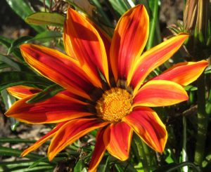 2017_10_02 Hamburg, Goldbek-Aue