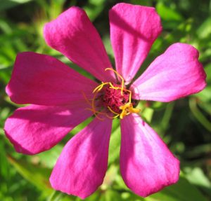 2017_10_01 Hamburg, Goldbek-Aue