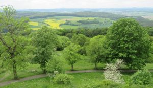 2016_05_20 Vom Frauenberg b. Marburg IMG_5253a