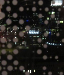 2017_01_08 IMG_1901a