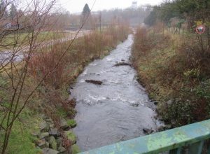 2018_01_26 Dortmund: Emscher, nahe Diekmüllerbaum