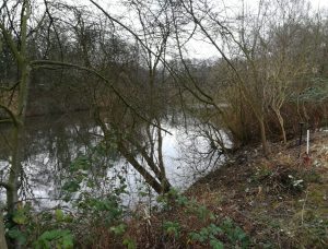 2018_02_03 Hamburg, Goldbek-Aue: Nach der Ufer-Rodung