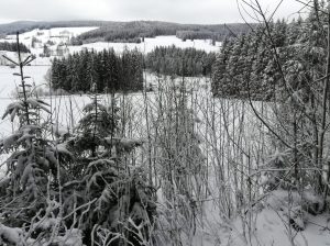 2018_02_18 Schwarzwald