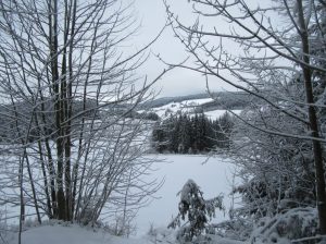 2018_02_18 Schwarzwald