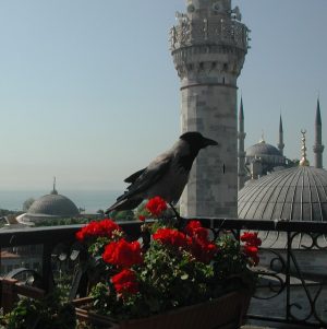 2008_05 Picture Istanbul (TR)