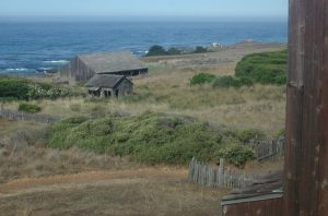 2008_09_02 Sea Ranch (CA)