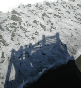 2008_09 Northern Calif. coast