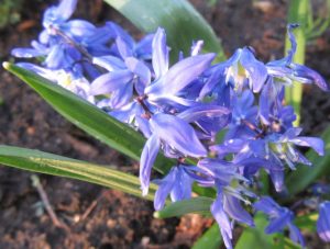 2018_05_09 Hamburg, Goldbek-Aue