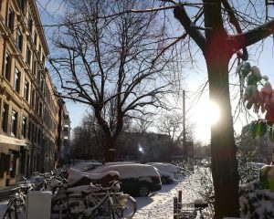 2018_02_27 Hamburg-Winterhude