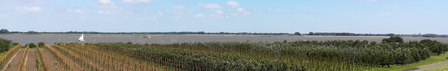 2018_07_07 Grünendeich (Altes Land)