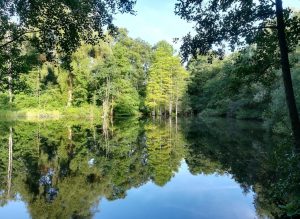 2018_08_12, Hamburg: Stadtpark