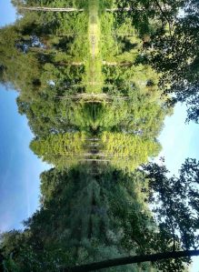 2018_08_12, Hamburg: Stadtpark