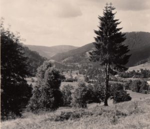 1955_07 Harz. Foto: privat