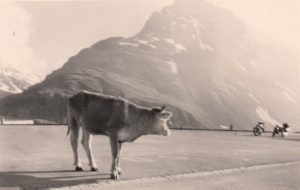 1961 Nr05a Silvretta