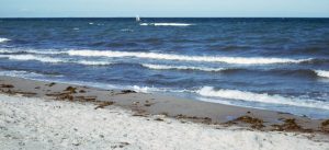 1963_07 Hohwachter Bucht