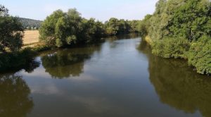 2018_08_19 Saale, unterhalb von Naumburg