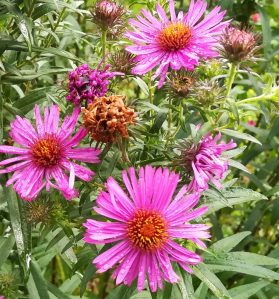 2018_09_12 Hamburg, Gut Karlshöhe