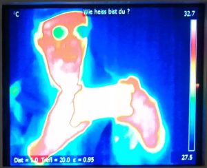 2018_09_12 Hamburg, Gut Karlshöhe - Wärmebildkamera