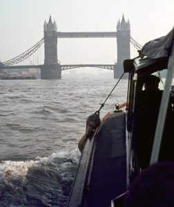 1969_10 Tower Bridge, London (UK)