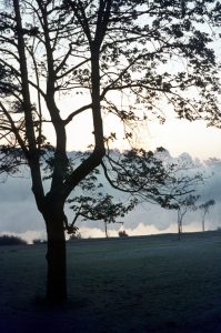 1969_10 From Mason Hall NL6 34, U Birmingham (UK)