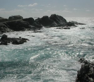 2006_03_10 Insel Gaou (F)