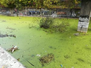 2018_10_03 Hamburg: Gewässer unter der Diebsteichbrücke