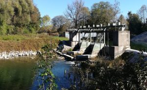 2018_10_12 Bifurkation: Amper und Mühlbach