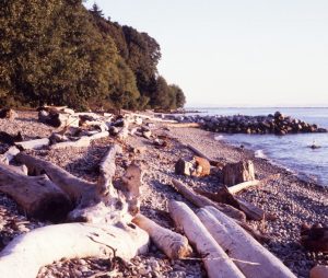 1984_08_22ca Vancouver (CAN)