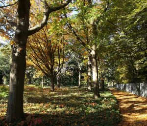 2018_10_14 Hamburg-Winterhude: Anzuchtgarten Saarlandstraße