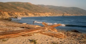 1985_08_08ca Andrew Molera State park (CA)