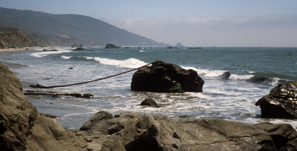 1985_08_08ca Andrew Molera State park (CA)