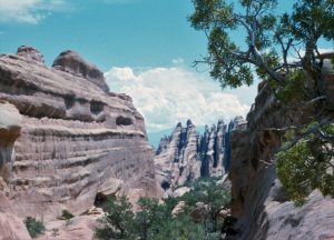1986_08_13ca Arches (UT)