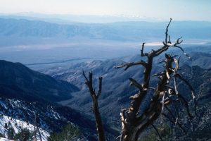 1986_03_26 Von Telescope Peak (CA) Blick ins Panamint Valley