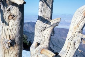1986_03_26 Von Telescope Peak (CA) Blick ins Death Valley