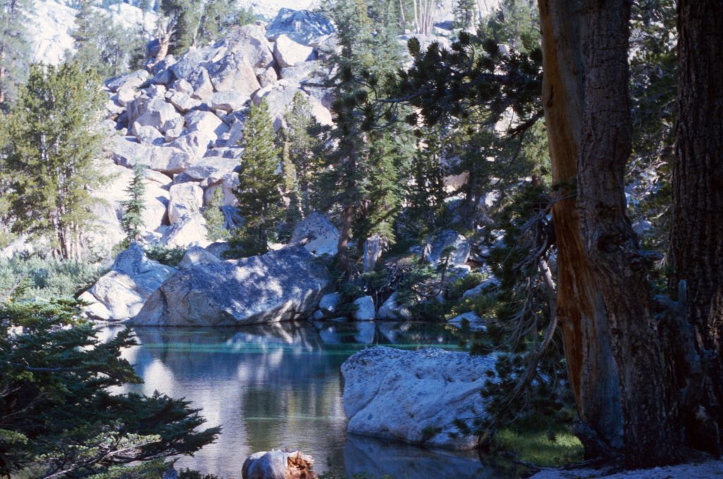 1986_07_25ca Yosemite Park (CA)