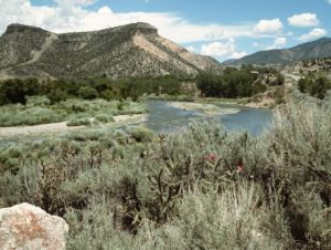1988_07_06 Rio Grande bei Pilar (NM)