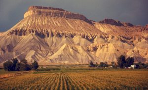 1988_07_31 nahe Grand Mesa (CO)