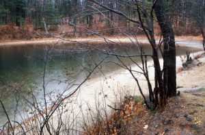 1988_11_17 AK 06 Walden Pond, bei Concord (MA)