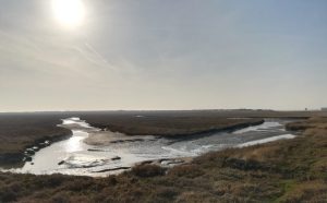 2019_02_16 St.Peter-Ording, Vorland