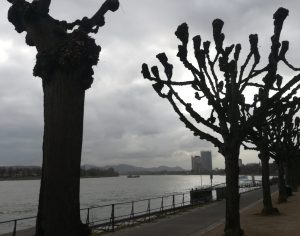 2019_03_26 Bonn, Rheinufer mit UN-Gebäude und Siebengebirge