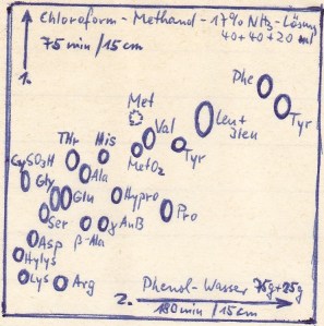 1969_05_05 Chromatographie Schema Aminosäuren