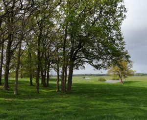 2019_05_05 Groß Thun: Wallburg innen von NO, mit Schwinge