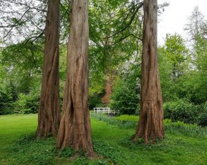 2019_05_08 Oldenburg, Schlossgarten