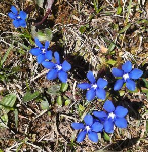 2019_05_17 Trockenbachtal (A) beim Trainsjoch