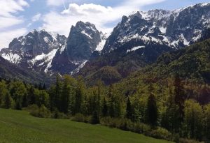 2019_05_18 Kaisertal (A) Wilder Kaiser