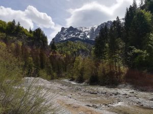 2019_05_18 Kaisertal (A) Kaiserbach