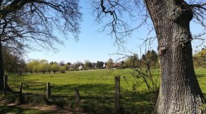 2019_04_21 Hamburg: Stellmoorer Tunneltal